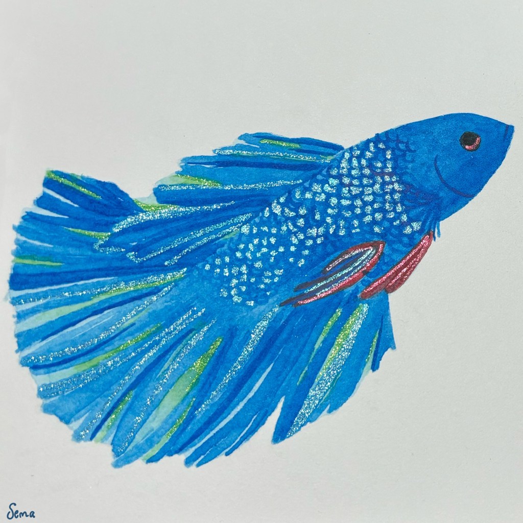 Shimmering siamese fighting&nbsp;fish